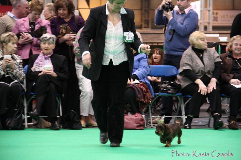 Crufts2011_2 1223.jpg